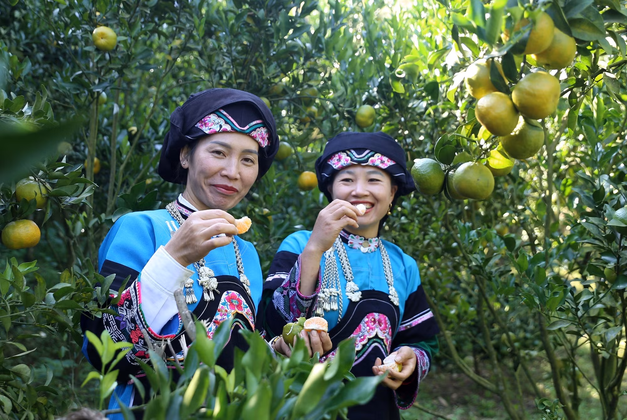 Gìn giữ vẻ đẹp trang phục dân tộc Bố Y tỉnh Lào Cai ảnh 1