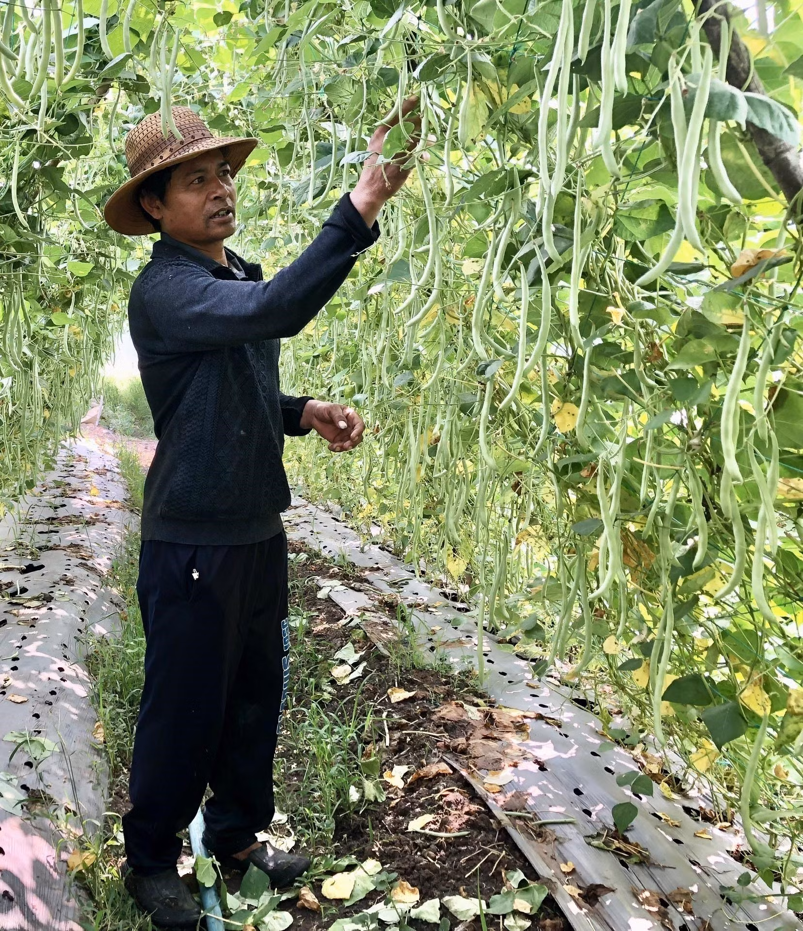 Thu hẹp khoảng cách phát triển (Bài 1) ảnh 3