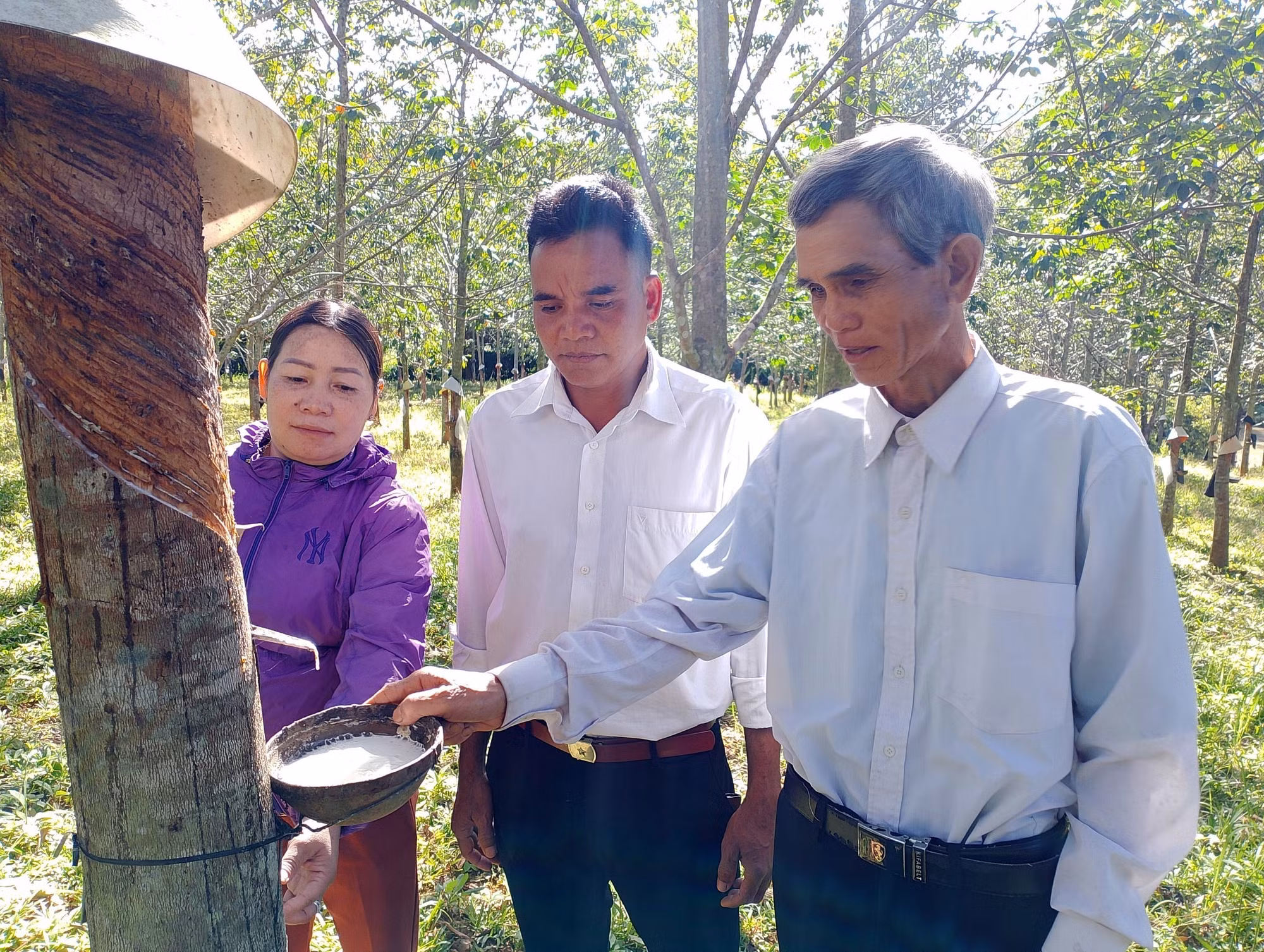 Già làng A Hùng - “Cánh tay nối dài” của chính quyền trong thực hiện chính sách dân tộc ảnh 1