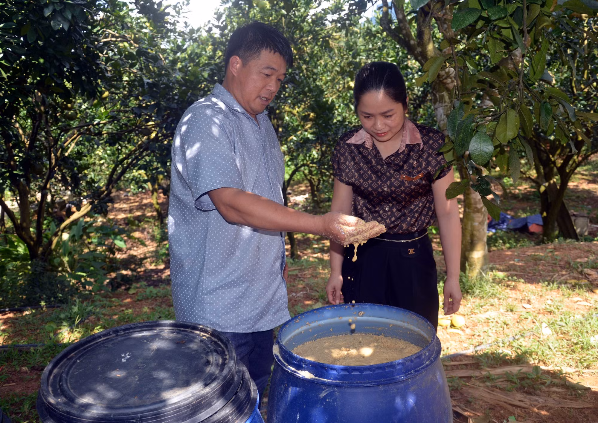 Hiệu quả áp dụng khoa học công nghệ vào sản xuất nông nghiệp ở Tuyên Quang ảnh 2