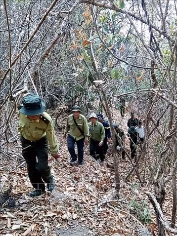 An Giang có gần 7.300 ha rừng dễ xảy ra cháy trong mùa khô hạn ảnh 2