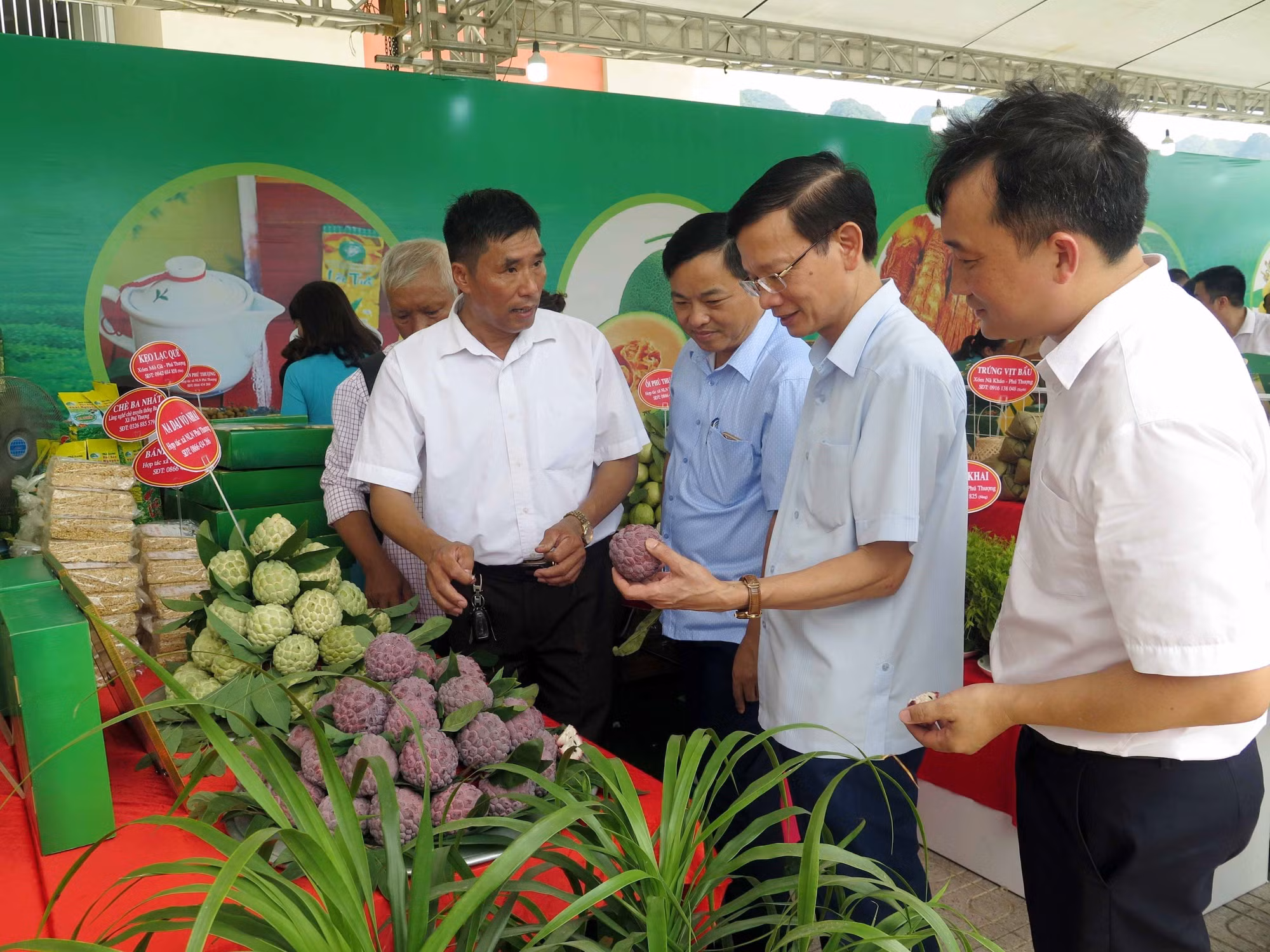 Thái Nguyên kết nối tiêu thụ sản phẩm na và các nông sản chủ lực ảnh 3