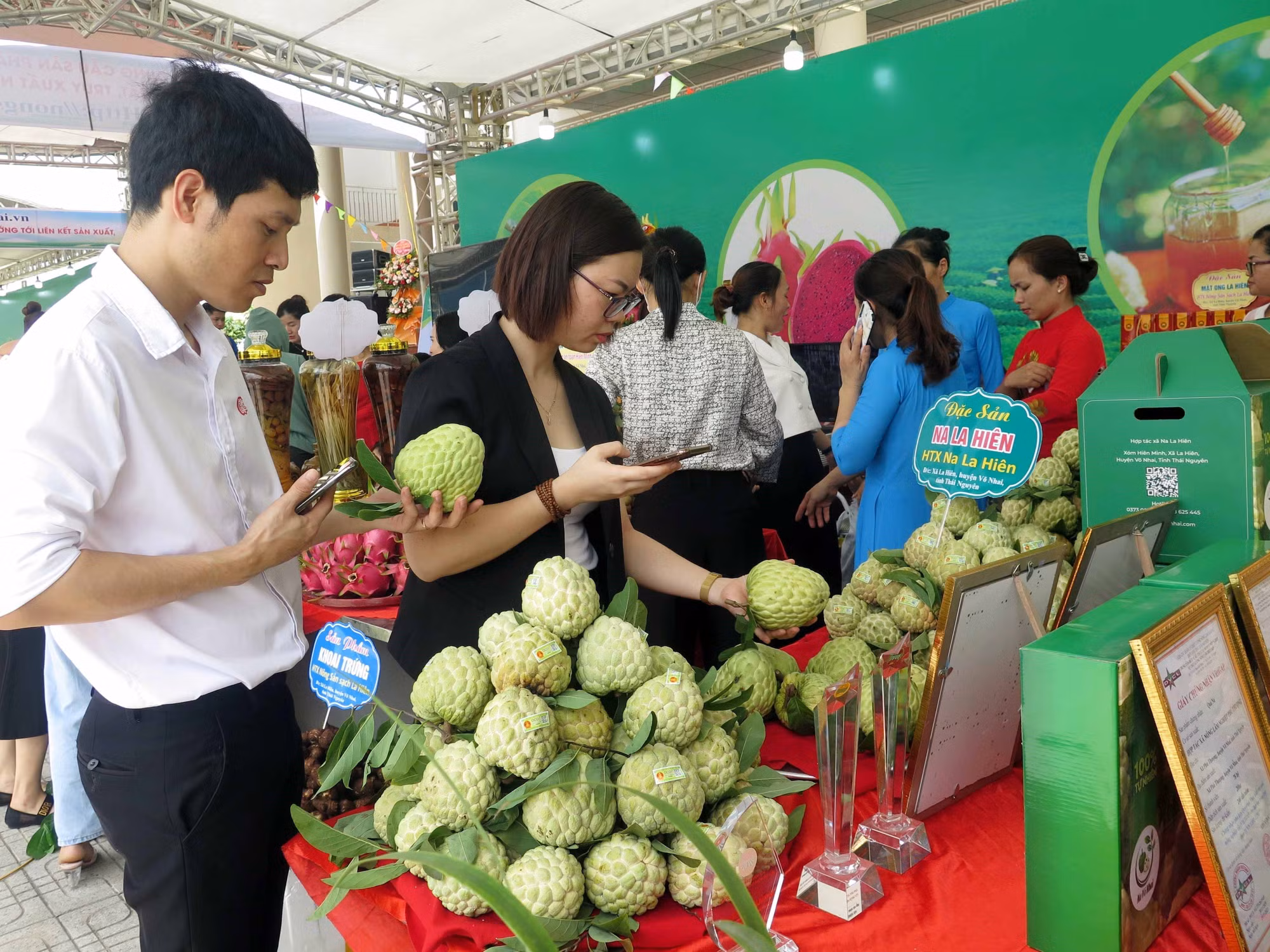 Thái Nguyên kết nối tiêu thụ sản phẩm na và các nông sản chủ lực ảnh 2