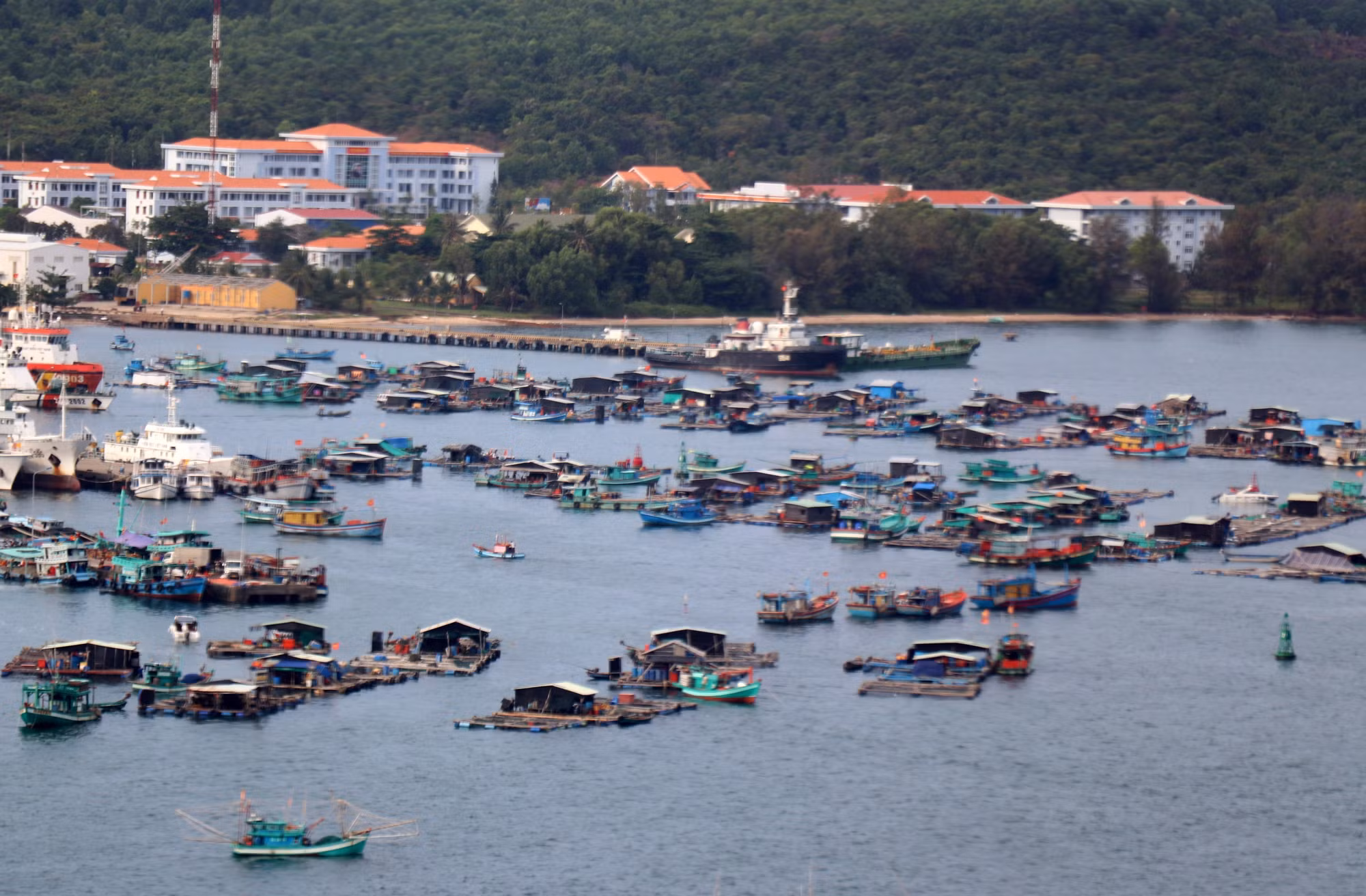 Nông nghiệp, nông dân, nông thôn ở Kiên Giang (Bài 1) ảnh 1