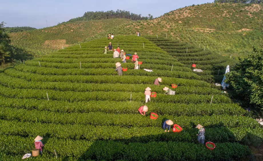 Xã Văn Hán đi sau về trước trong xây dựng nông thôn mới nâng cao ảnh 1