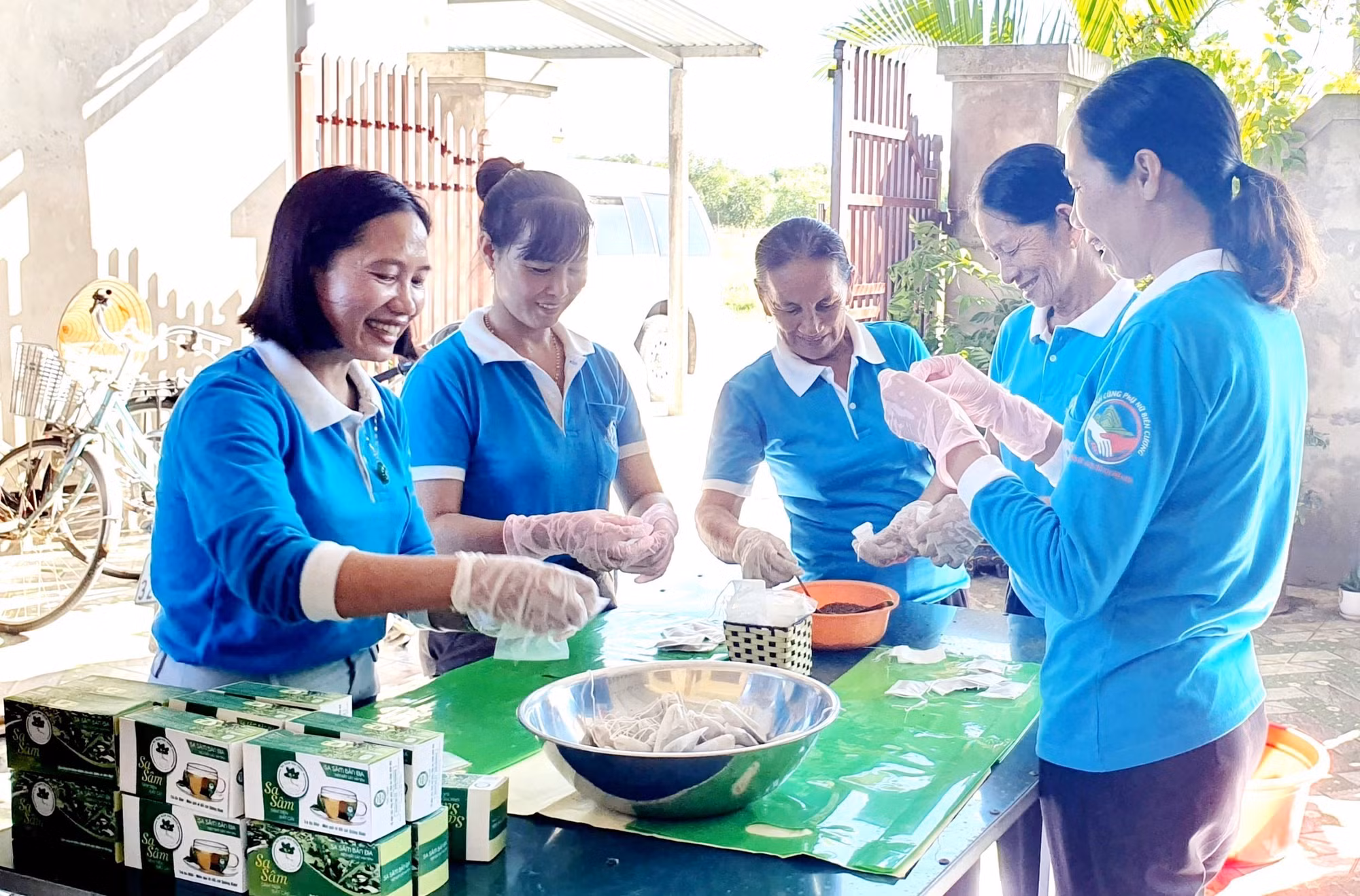 Triển vọng phát triển kinh tế từ cây Sa sâm trên vùng đất cát Quảng Bình ảnh 3