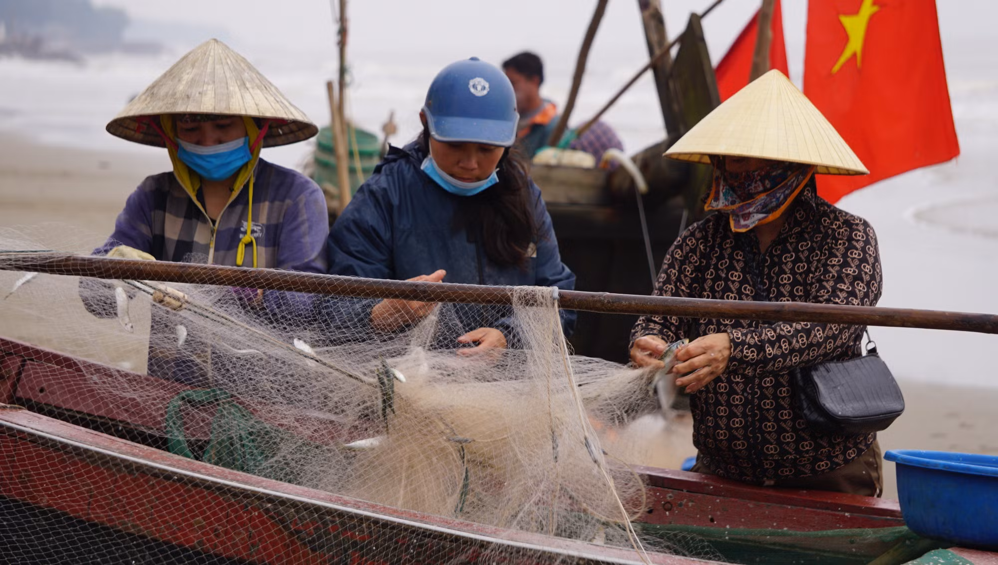 Ngư dân Thanh Hóa được mùa cá trích ảnh 3