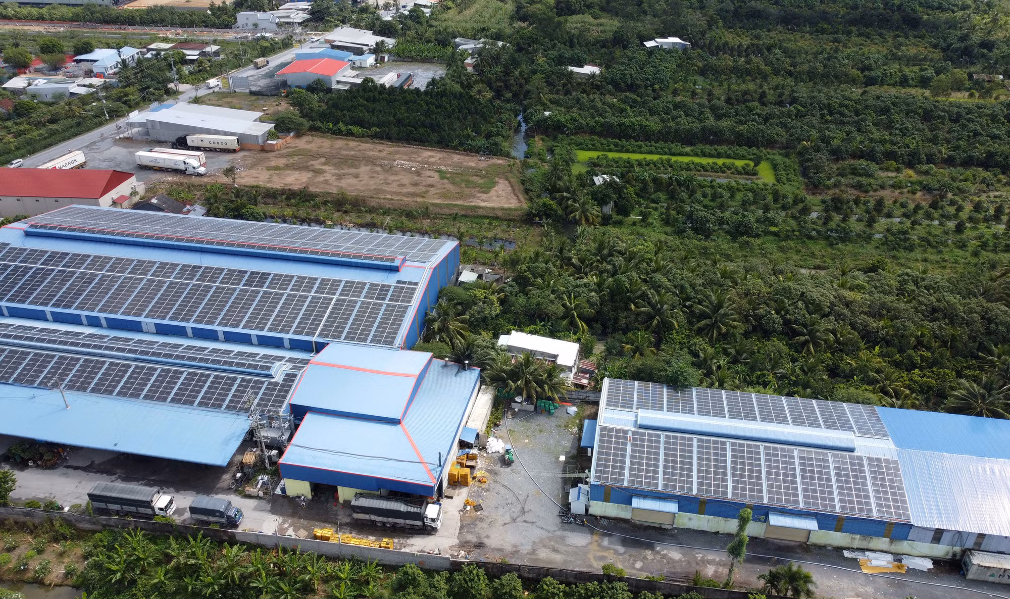 Nông dân Đồng Tháp gặp khó trong sản xuất vì nguồn nước bị ô nhiễm ảnh 1