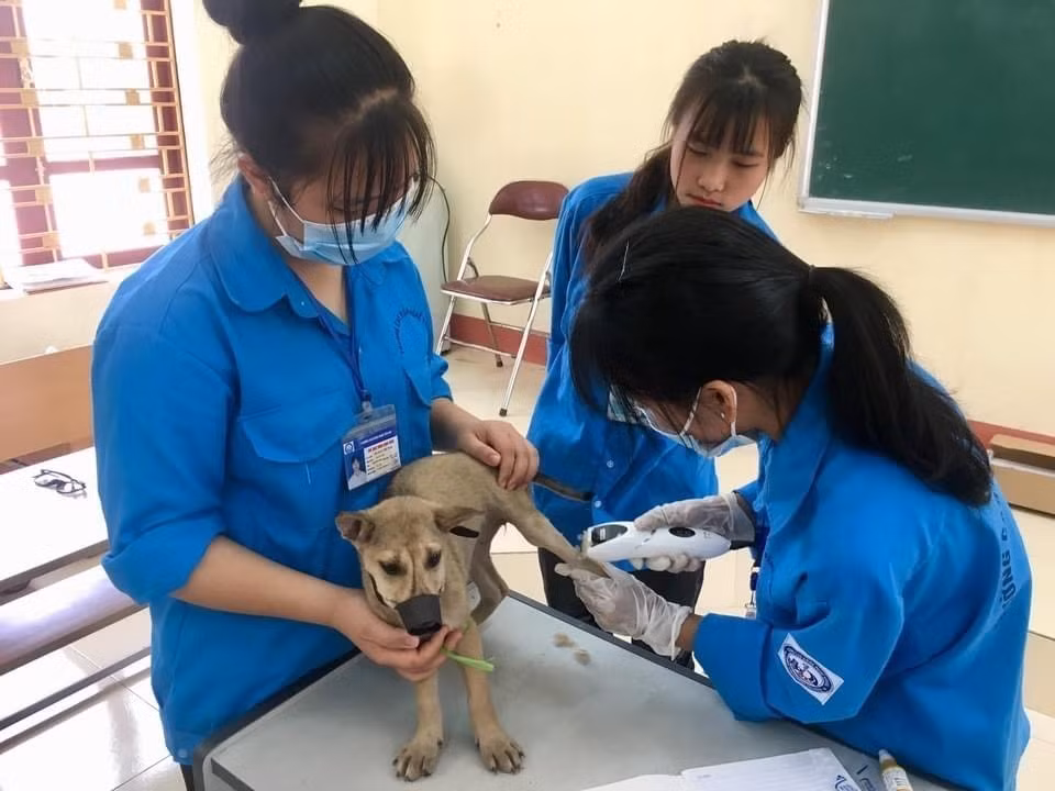 Điểm sáng đào tạo nghề tại khu vực Tây Bắc ảnh 2