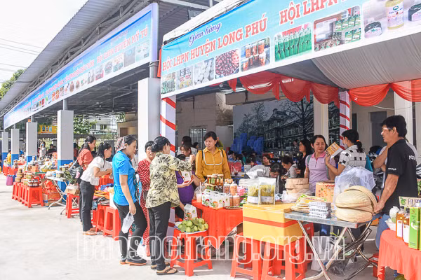 Sóc Trăng: Xây dựng các mô hình sinh kế, hỗ trợ phụ nữ khởi nghiệp ảnh 1 Sóc Trăng: Xây dựng các mô hình sinh kế, hỗ trợ phụ nữ khởi nghiệp ảnh 1