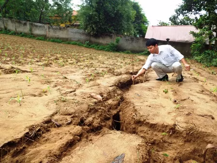 Tuyên Quang bố trí 80 tỷ đồng di dân ra khỏi vùng thiên tai nguy hiểm ảnh 1