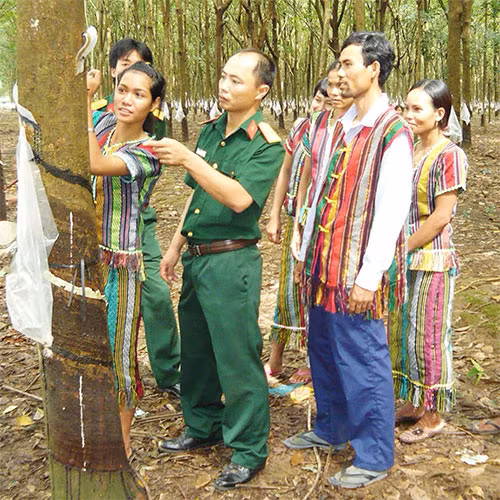 Bộ Tư lệnh Binh đoàn 16 phát triển kinh tế gắn với ổn định đời sống người dân vùng biên giới ảnh 2