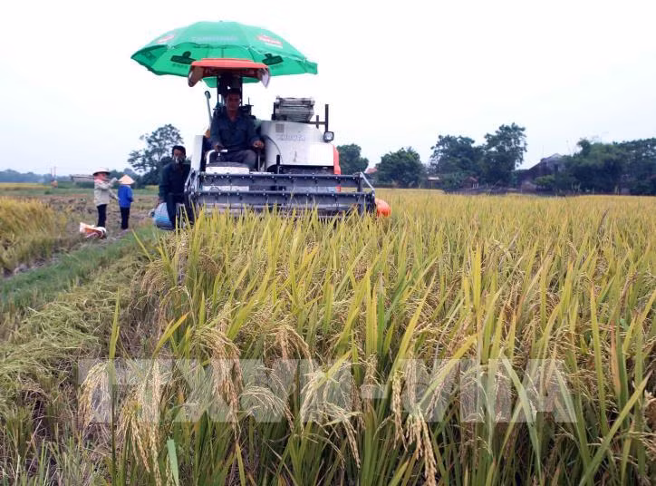 Bắc Giang tháo gỡ khó khăn, đẩy nhanh tiến độ xây dựng nông thôn mới ảnh 1