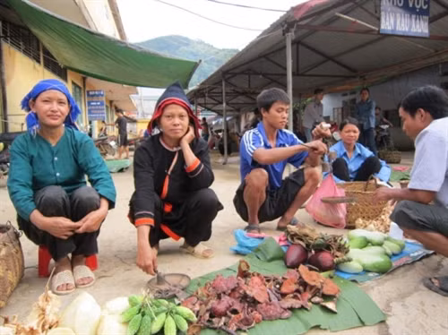 Nấm linh chi rừng tự nhiên được bày bán ở chợ phiên Bảo Lạc.