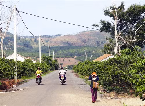 Hệ thống điện, đường giao thông được xây dựng khá đồng bộ tại nơi ở mới của đồng bào.