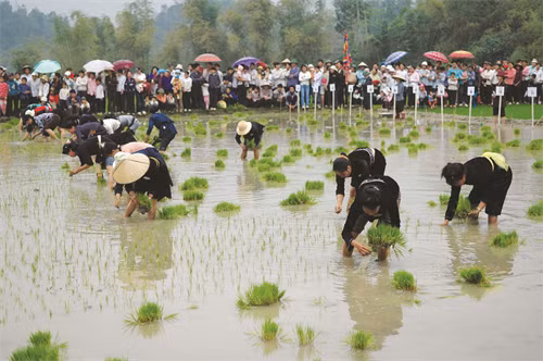 Vào dịp đầu xuân, ngày hội xuống đồng của đồng bào Tày thu hút đông đảo du khách tới Định Hóa