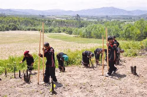 Đồng bào trỉa lúa sau lễ cúng "thần Lúa"
