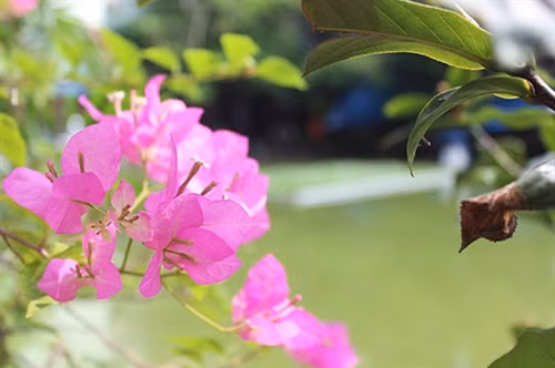 Nắng nóng dịu bớt trong ngày hôm nay. Ảnh: AT