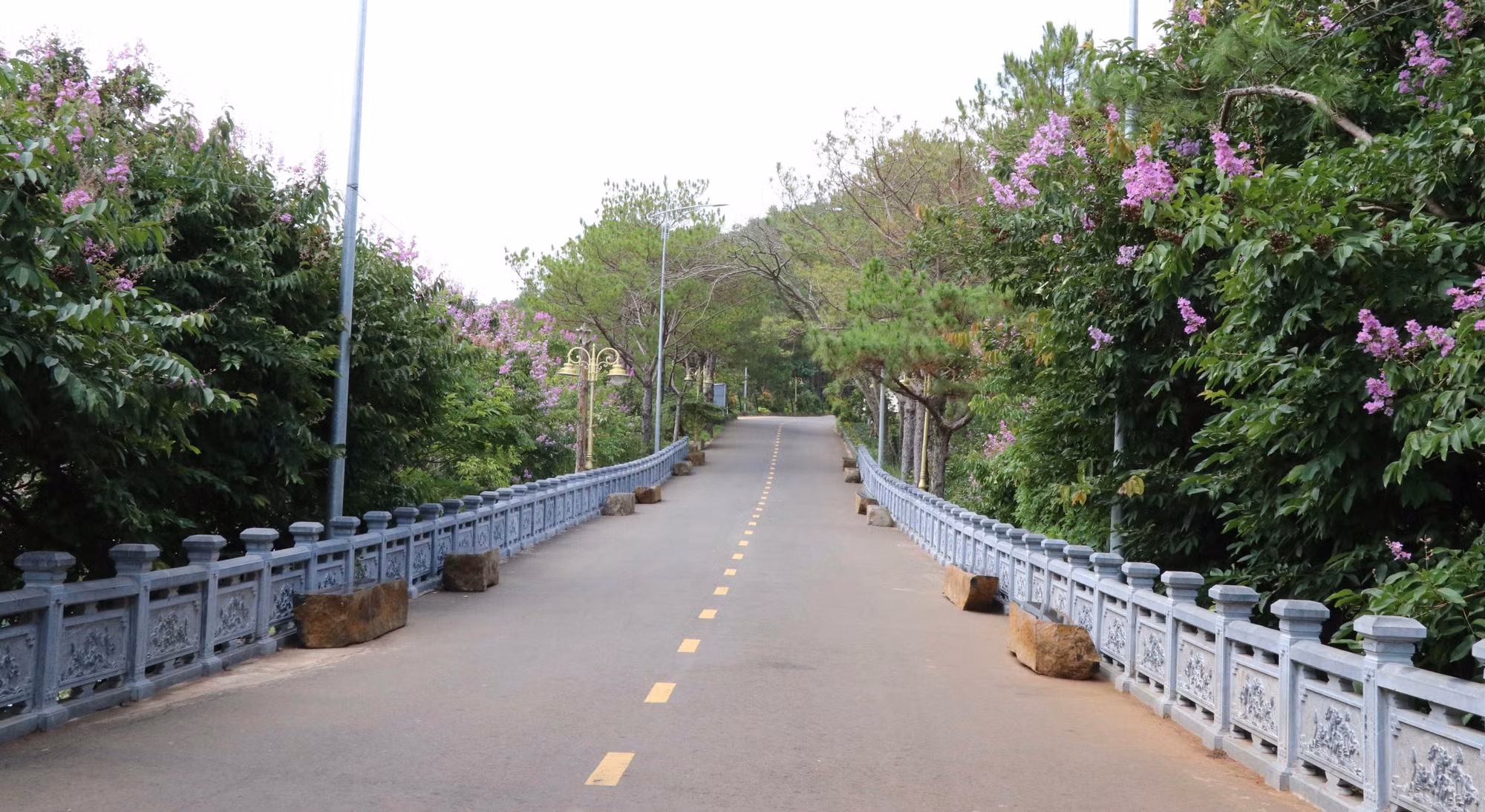 Biển Hồ - điểm nhấn của du lịch Gia Lai ảnh 8