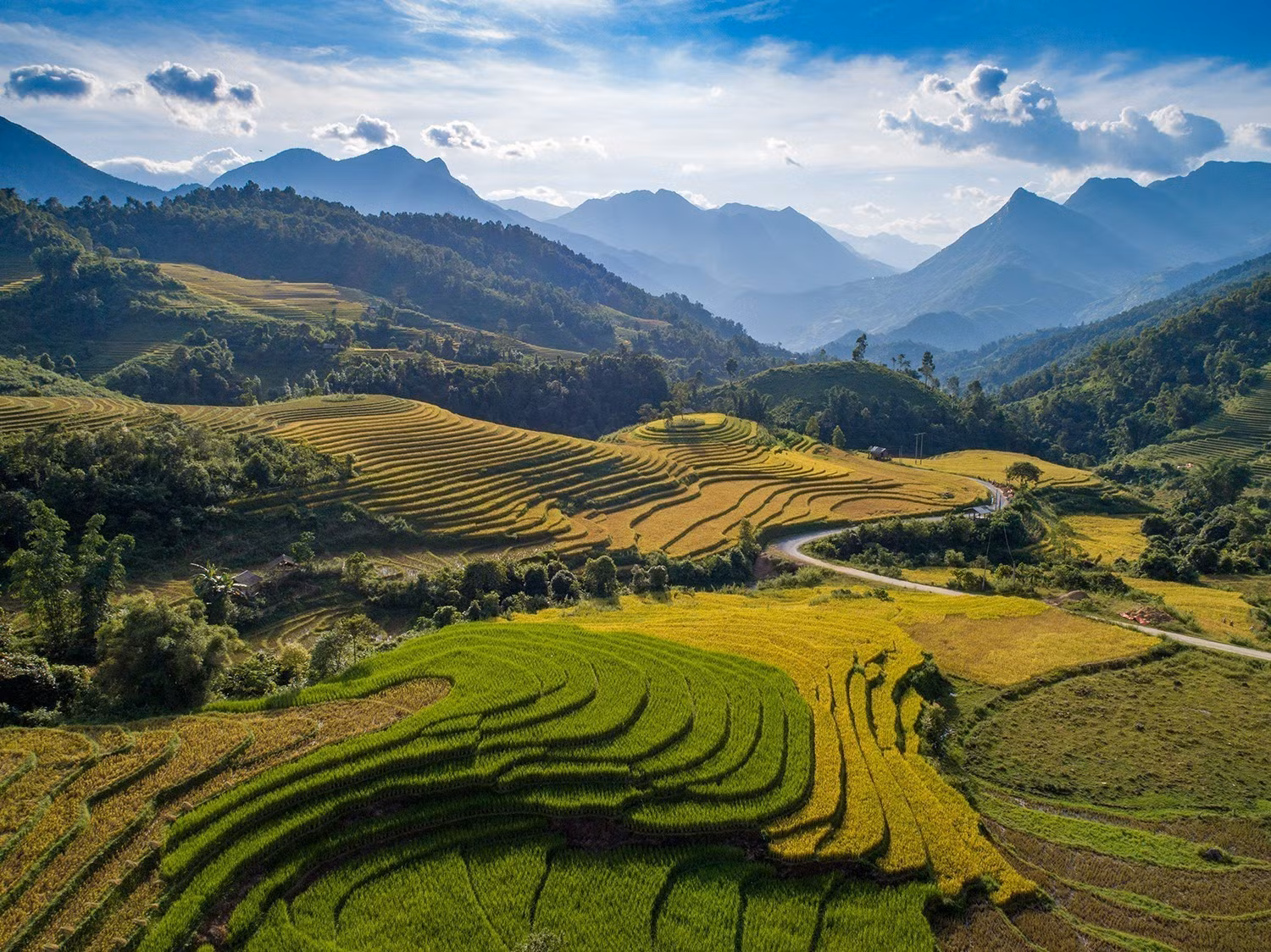 Ngất ngây với vẻ đẹp Sapa vào mùa lúa chín ảnh 5