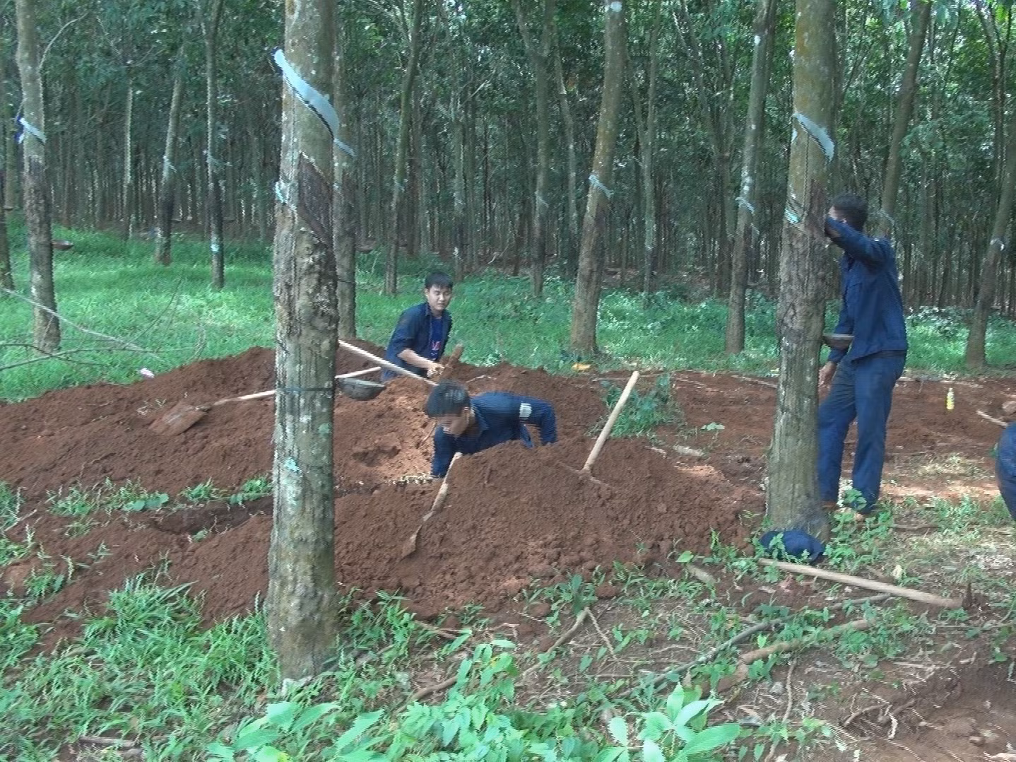 Bình Phước: Quy tập 9 hài cốt liệt sỹ tại huyện Hớn Quản ảnh 1