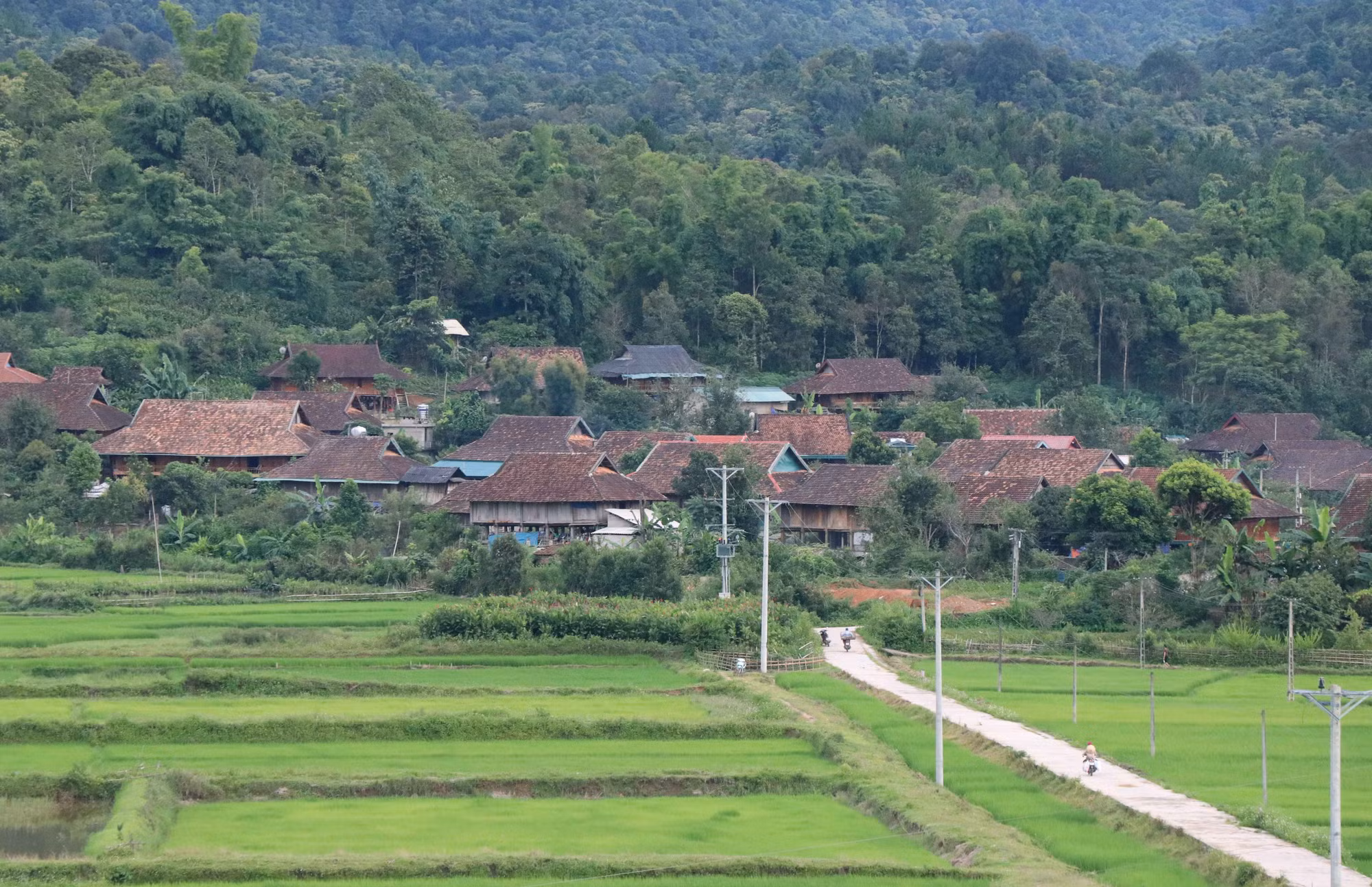 Mường Phăng ngày ấy, bây giờ ảnh 4