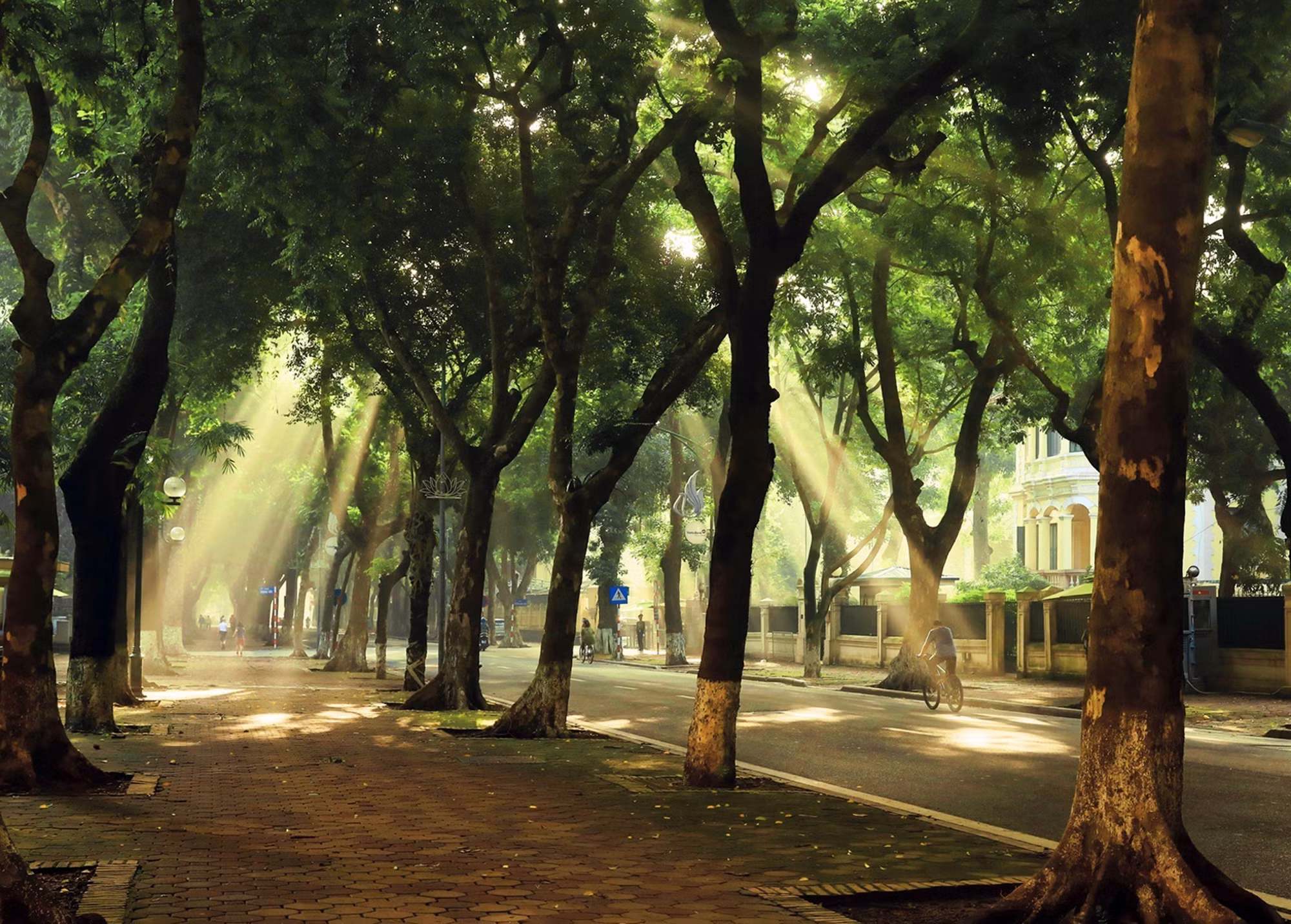 Hà Nội - top 12 điểm đến lý tưởng nhất thế giới vào mùa Thu ảnh 17
