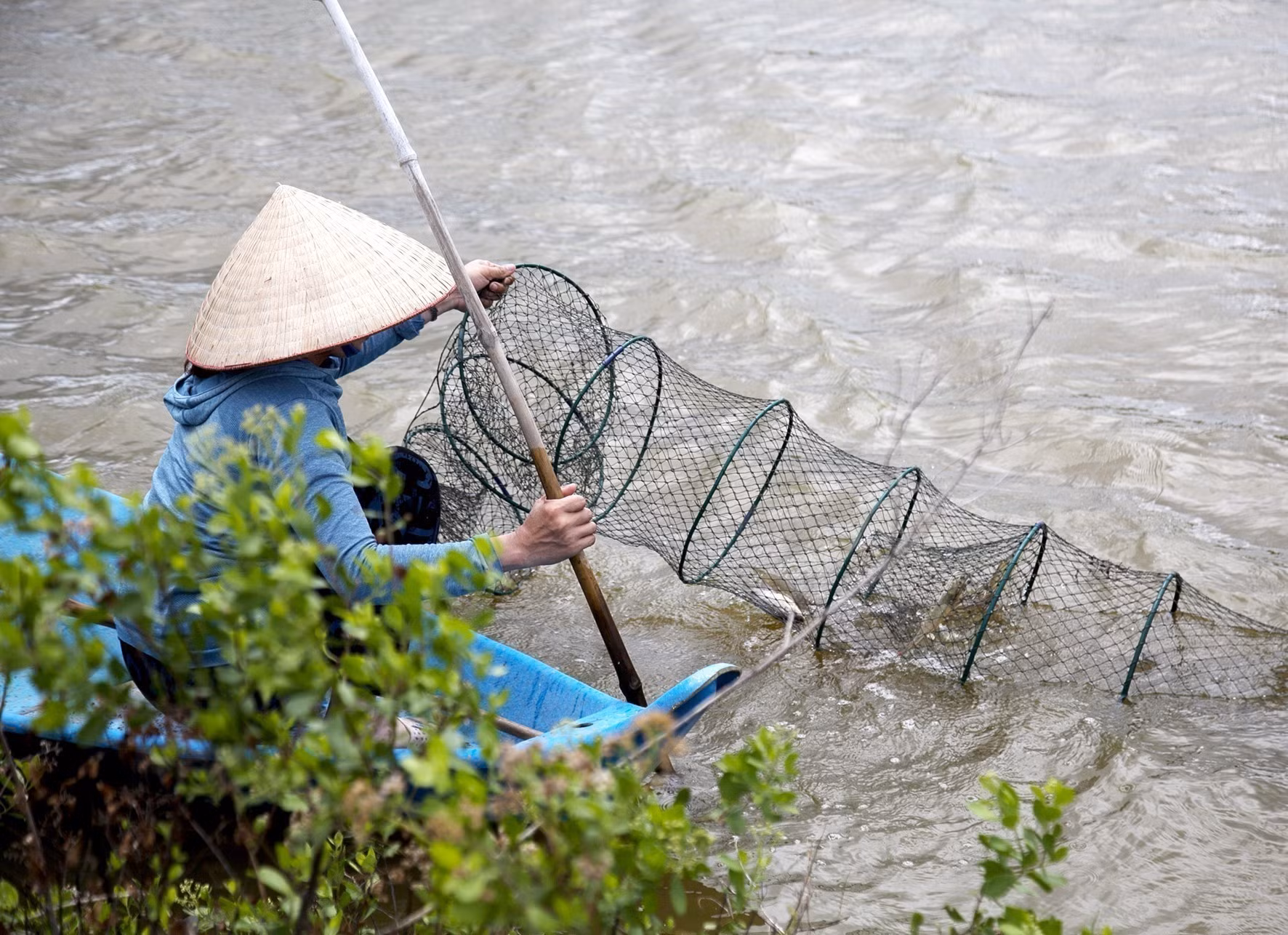 Nông nghiệp xanh (Bài 1) ảnh 1