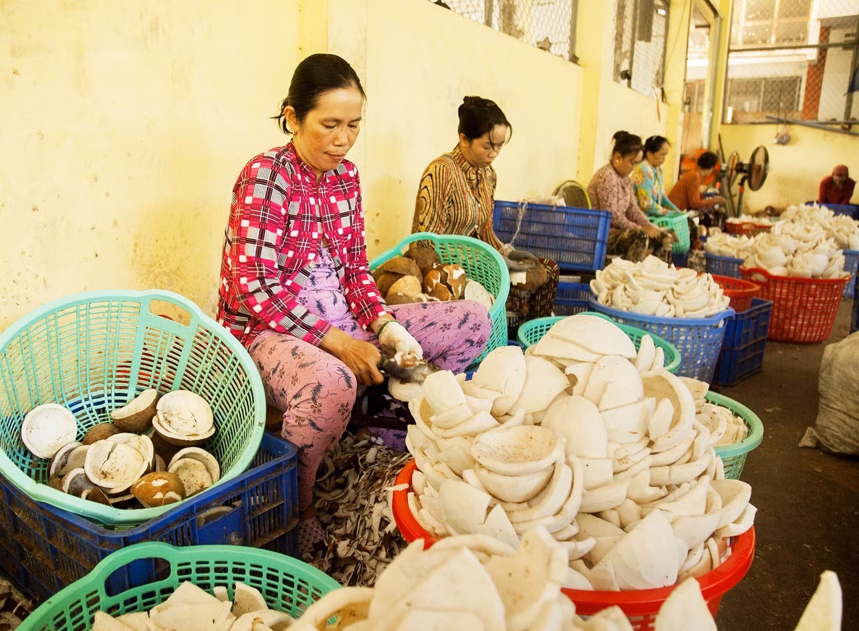 Nông nghiệp xanh (Bài 2) ảnh 2