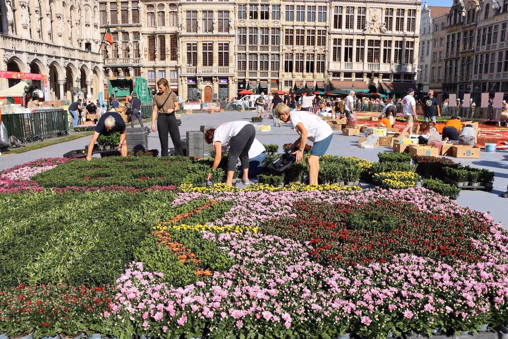 Thảm hoa Brussels chào đón du khách sau 2 năm vắng bóng ảnh 4