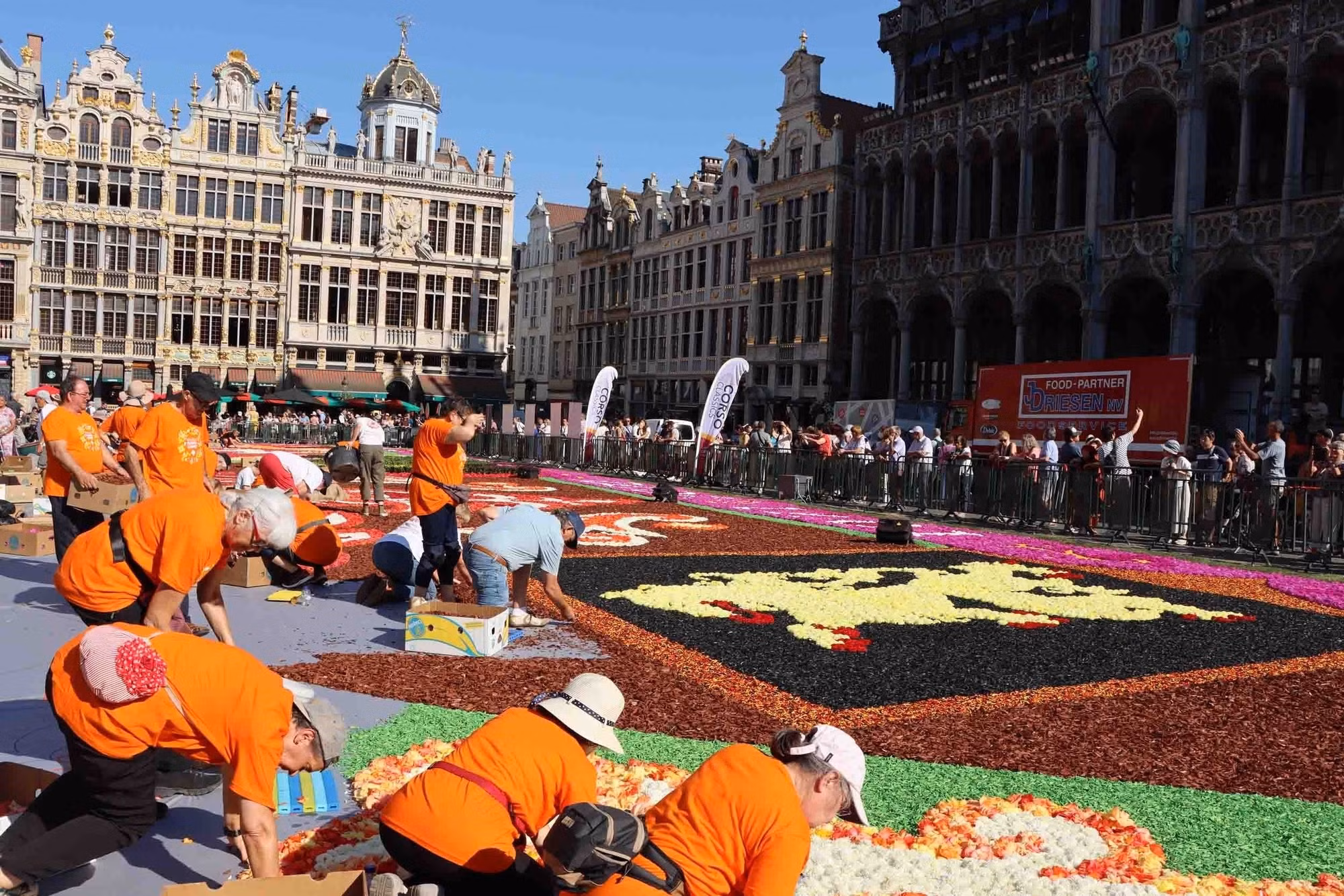 Thảm hoa Brussels chào đón du khách sau 2 năm vắng bóng ảnh 5