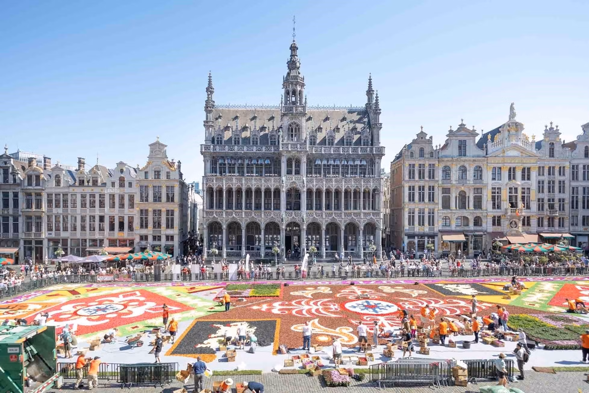 Thảm hoa Brussels chào đón du khách sau 2 năm vắng bóng ảnh 6