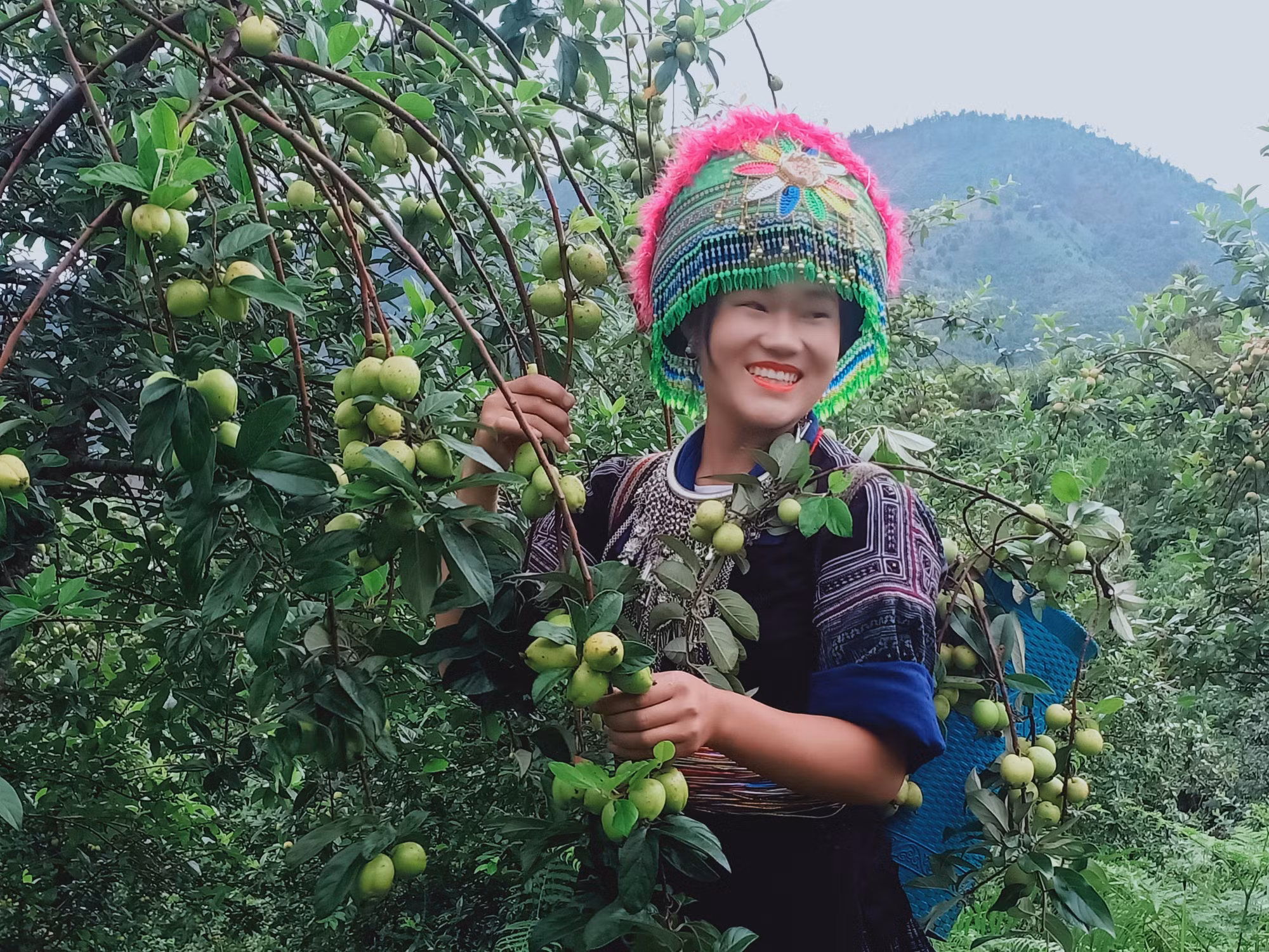 Giảm nghèo bền vững ở Mù Cang Chải ảnh 6