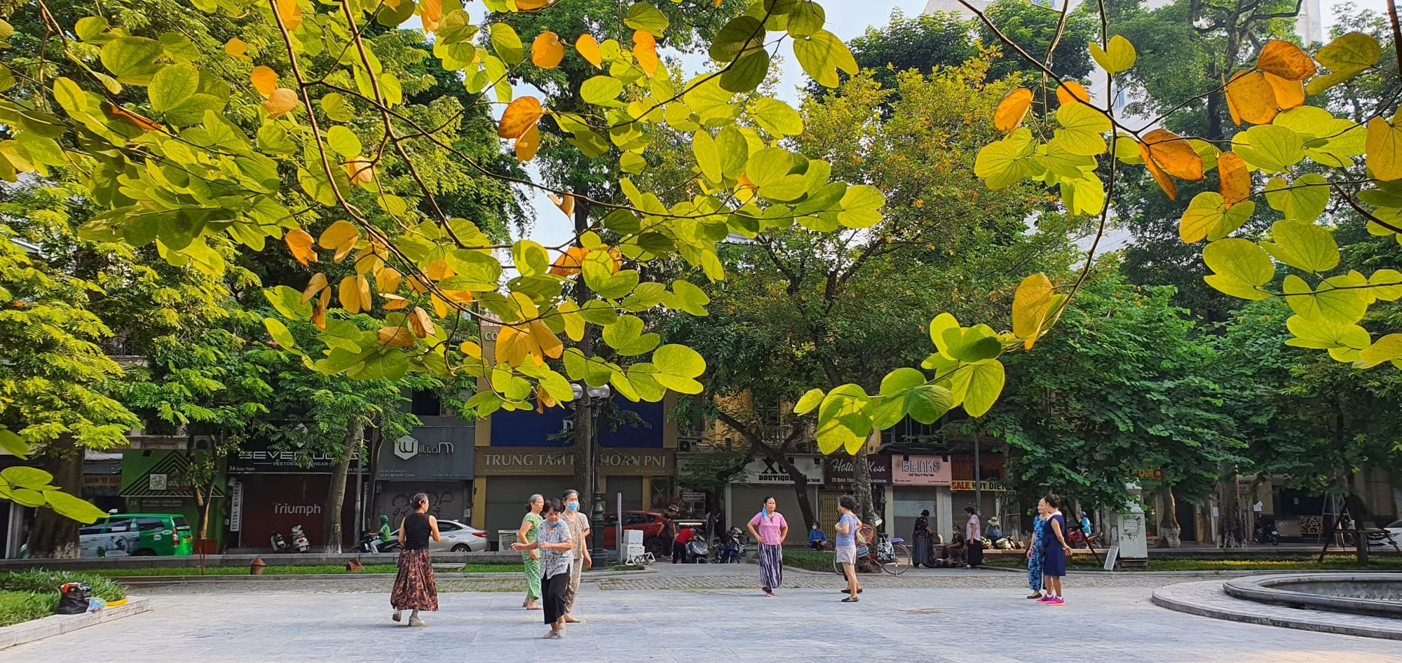 Chớm thu Hà Nội ảnh 2