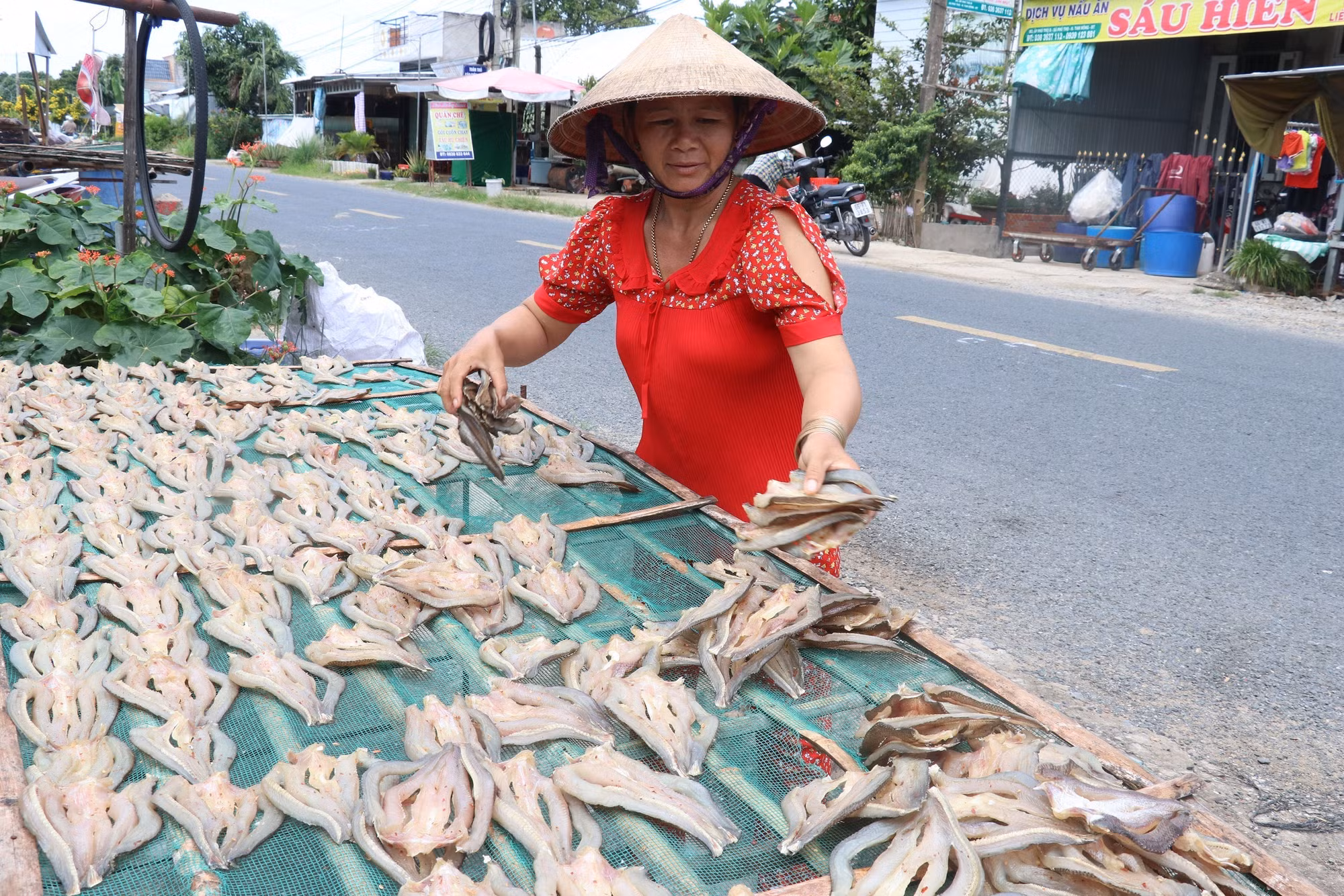 Làng nghề khô cá lóc vào vụ khi nước lũ rút ảnh 2