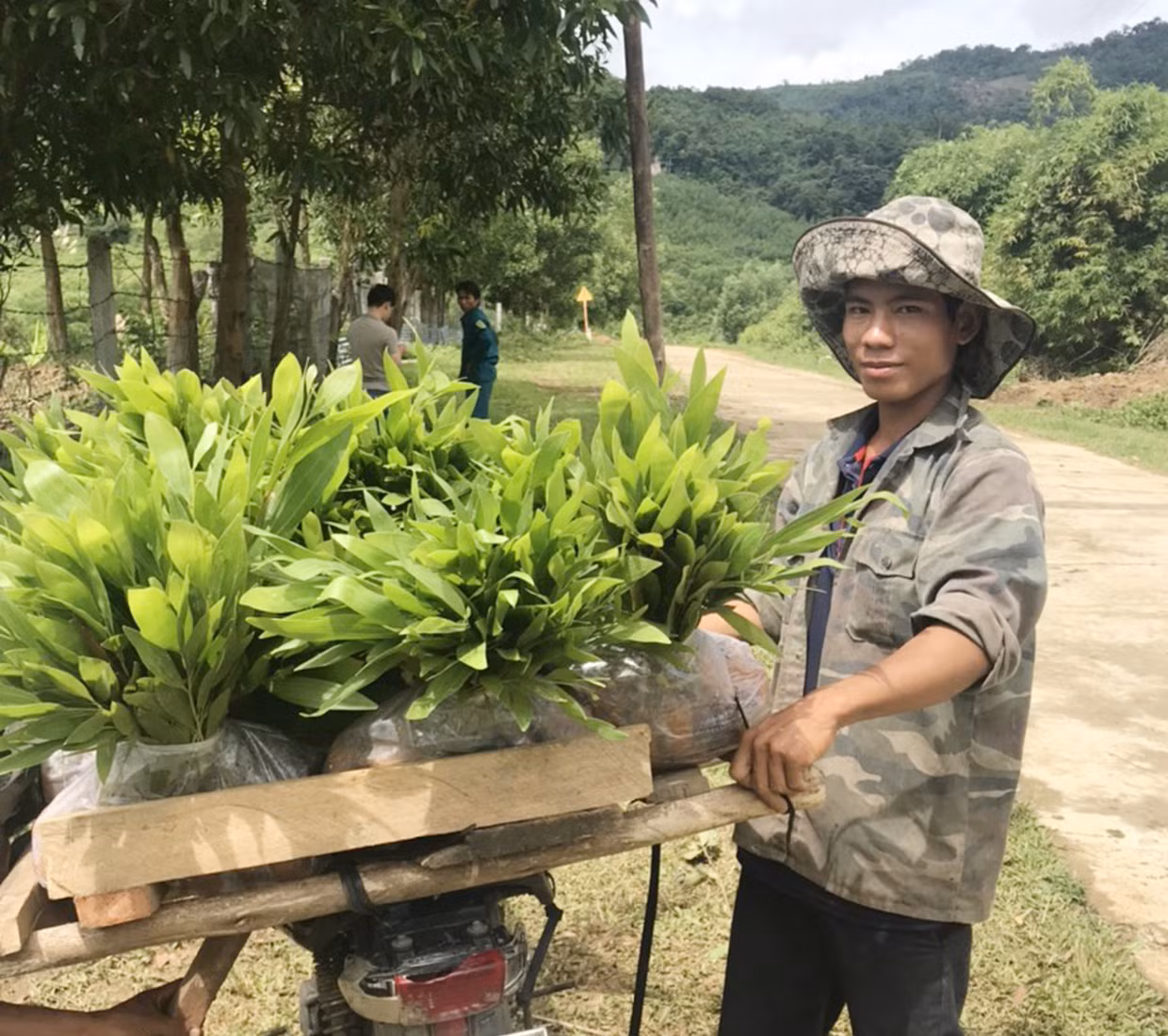 Kiến nghị nâng mức hỗ trợ trồng rừng cho người dân Gia Lai ảnh 1