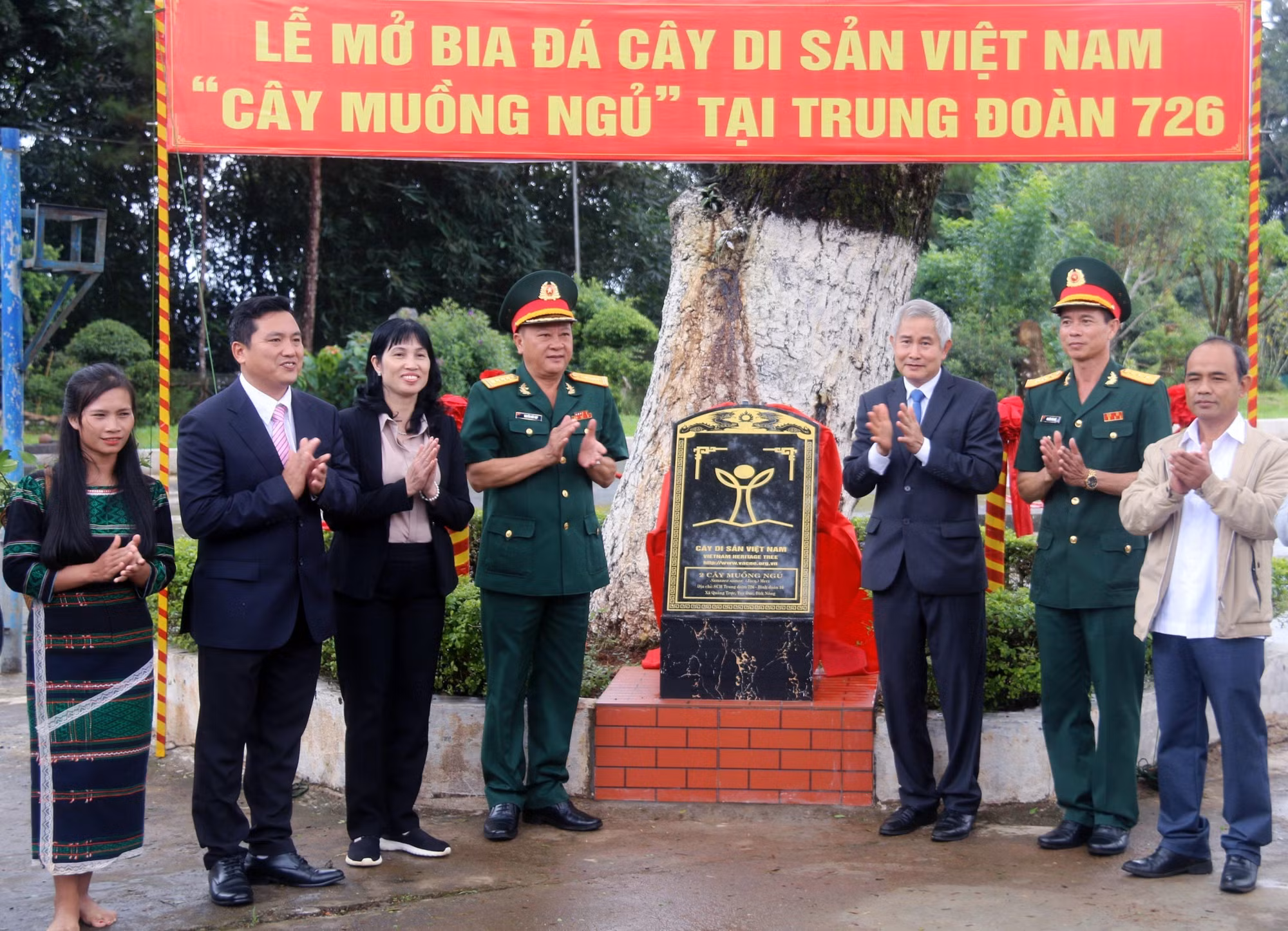 Nhiều cây gỗ quý tại Đắk Nông được công nhận là “Cây di sản Việt Nam” ảnh 2