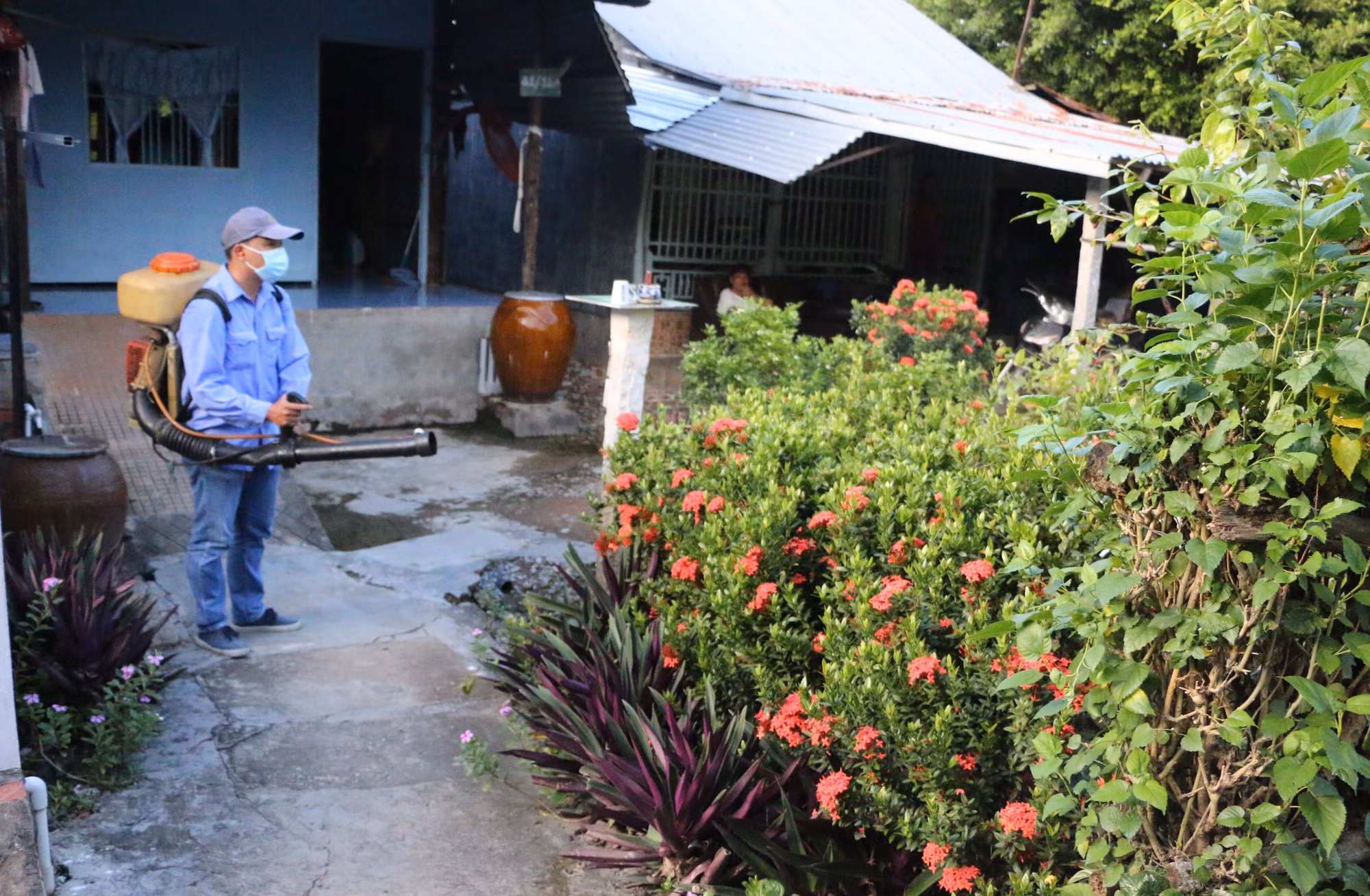 Không chủ quan với bệnh sốt xuất huyết ảnh 2