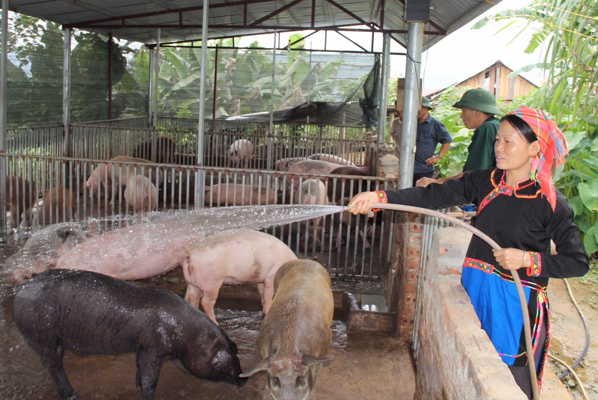 Giảm nghèo ở vùng “lõi” biên giới Mường Tè ảnh 1