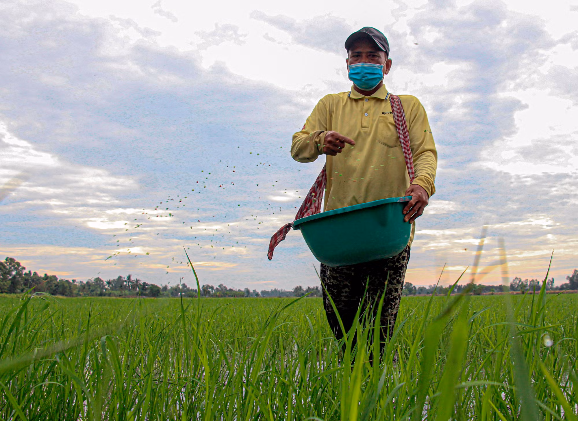 Thạch Xa Kha, người nông dân Khmer hết lòng vì cộng đồng ảnh 1