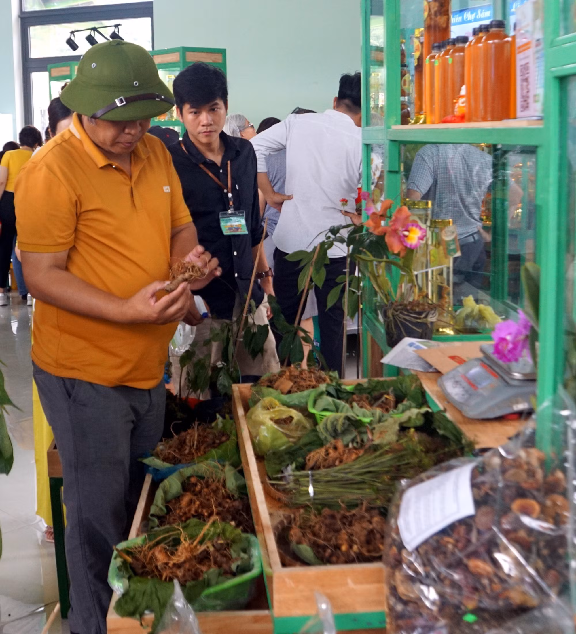 Quảng Nam: Khai mạc phiên chợ sâm Ngọc Linh lần thứ IV năm 2022 ảnh 3