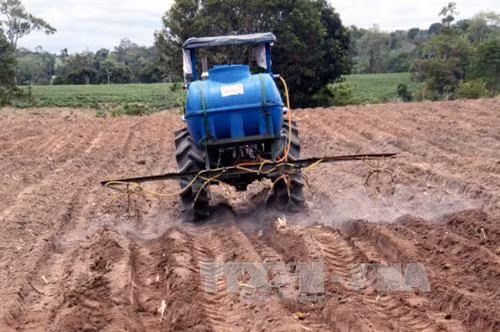 Sản phẩm máy phun thuốc diệt cỏ để trồng mía của anh đạt năng suất 1 ha trong một giờ, trong khi phun thủ công phải cần 3 lao động làm việc trong 1 ngày. Ảnh: Thế Lập- TTXVN.