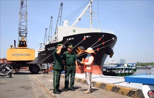 Chiến sỹ Trạm Biên phòng cửa khẩu Khánh Hội, Thành phố Hồ Chí Minh kiểm tra xác minh phương tiện neo đậu tại cảng. Ảnh: Xuân Khu - TTXVN