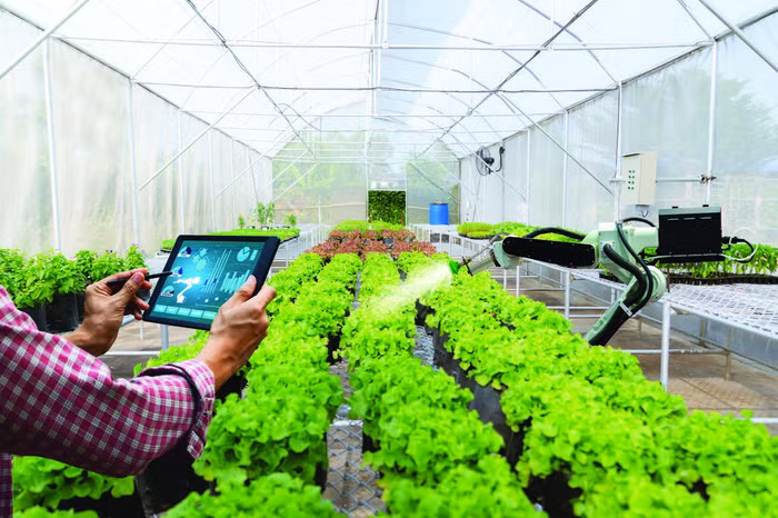 Công bố Báo cáo tổng quan nông nghiệp số Việt Nam 2021 ảnh 1