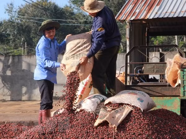 Chương trình OCOP: Điểm nghẽn từ chính sách đến cuộc sống (Bài 2) ảnh 2