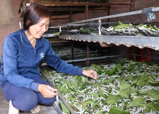 Hiệu quả chuyển đổi mô hình kinh tế ở Buôn Đôn ảnh 5
