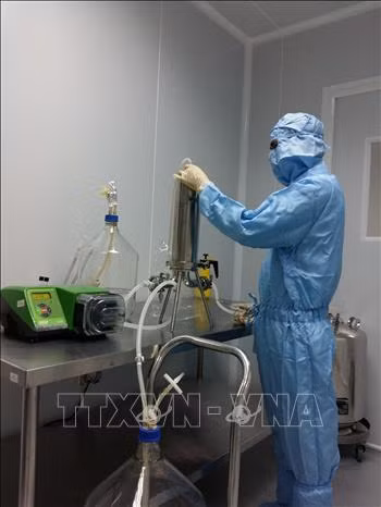 Dịch COVID-19: Chạy đua từng ngày để điều chế vaccine ảnh 6