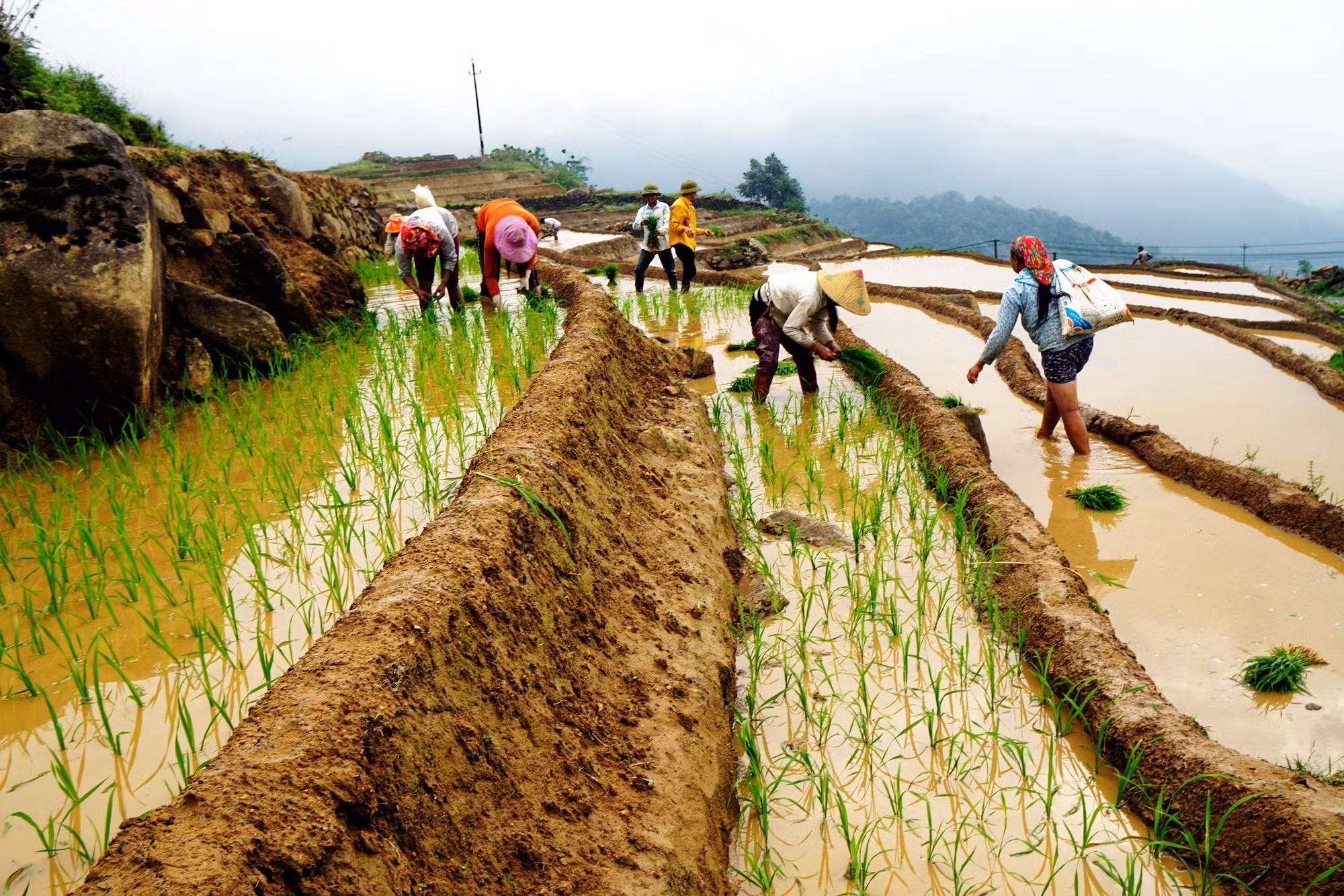 Mùa nước đổ ở Tây Bắc ảnh 5