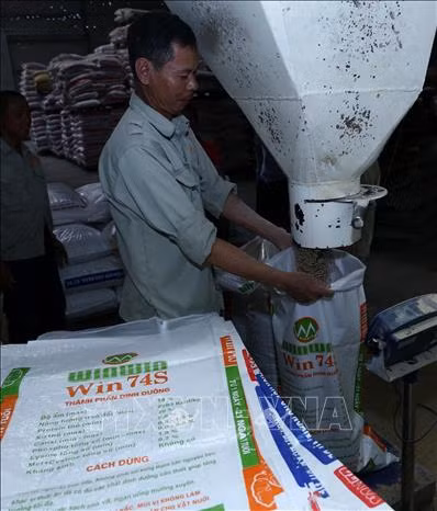 Hà Nội duy trì và phát triển chuỗi thực phẩm an toàn ảnh 8