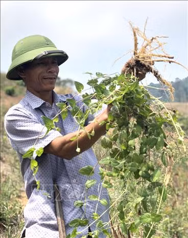 Nhân Ngày Phụ nữ Việt Nam 20/10: Tỉnh Kon Tum hỗ trợ phụ nữ khởi nghiệp ảnh 4